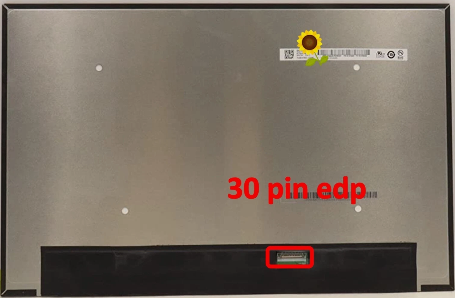 2025/08/903c8758562e10dfc008a2d5a93c8220.png